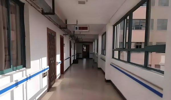 丐无双之执掌天下